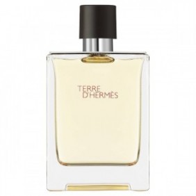 Terre d'Hermès - Eau de Toilette