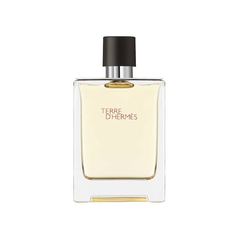 Terre d'Hermès - Eau de Toilette