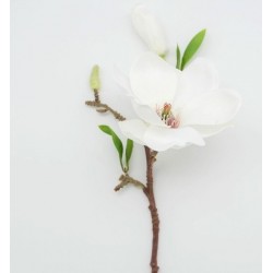 FLEUR DE MAGNOLIA BLANC