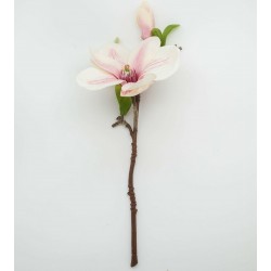FLEUR DE MAGNOLIA ROSE
