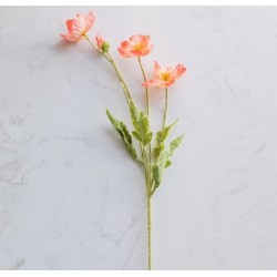 FLEUR DE PAVOT ROSE