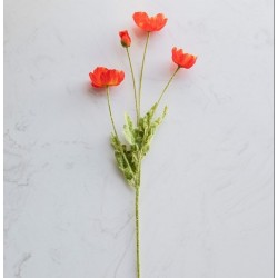 FLEUR DE PAVOT ROUGE
