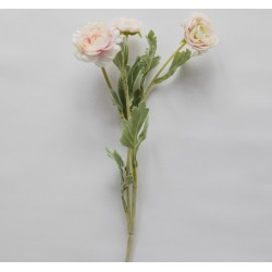 FLEUR DE RENONCULE ROSE