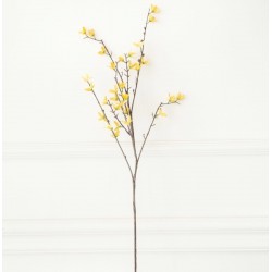 BOURGEONS D'ORCHIDÉE