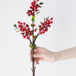 BRANCHE CRAMBERRY