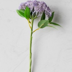 BRANCHE PURPLE BERRY