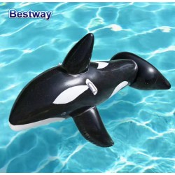 A Pool Float