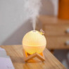 Moon lamp with air humidifier for birds