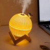 Moon lamp with air humidifier for birds