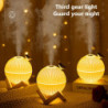 Moon lamp with air humidifier for birds