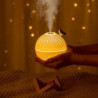 Moon lamp with air humidifier for birds