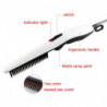 Beard Straightener Comb Quick Heated Brush