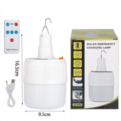 LED solar light bulb with...