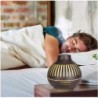 multi-functional aromatherapy diffuser