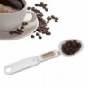 Digital Measuring Spoon Kitchen Measuring Spoon 500g/0.1g