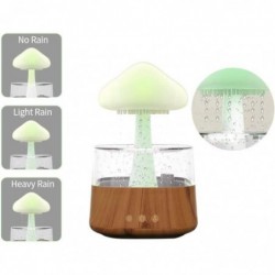 Rain Cloud Humidifier