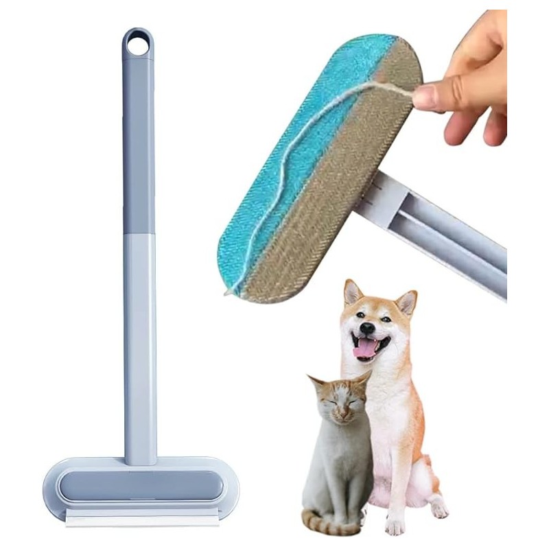 brosse multifonctionnelle pour enlever les poils d'animaux, brosse de nettoyage de vitres portable