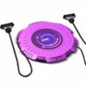 Waist Twist Disc home exercise equipment